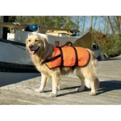 Beeztees Zwemvest XS Voor De Hond Per Stuk -Goedkope Fluffy Poot Winkel 0765450 0 300x300 1