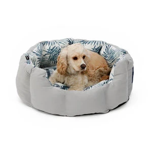 Hondenmand Beach Leaves 1 Hondenmand Beach Leaves