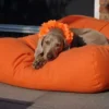 Hondenbed Oranje Extra Small