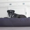 Hondenbed Antraciet Extra Small