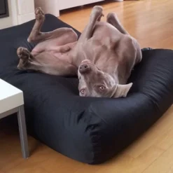 Hondenbed Zwart Vuilafstotende Coating Medium