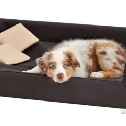 Hondensofa Candy Donkerbruin