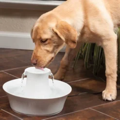 PetSafe Drinkwell Ceramic Avalon Drinkfontein - 2 L -Goedkope Fluffy Poot Winkel file 17