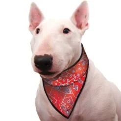 Plaid Voor Hondenbed Zwart -Goedkope Fluffy Poot Winkel file 280