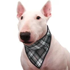 Plaid Voor Hondenbed Zwart -Goedkope Fluffy Poot Winkel file 281