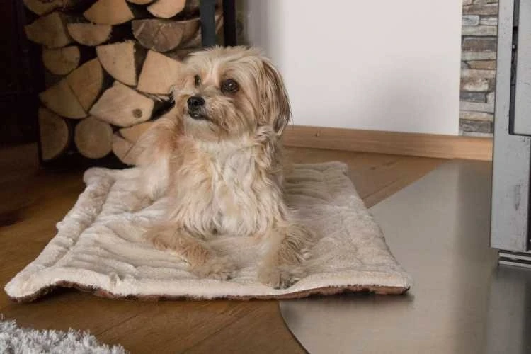 Hondendeken Relax 1 Hondendeken Relax