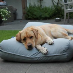 Hondenkussen Lichtgrijs Extra Small