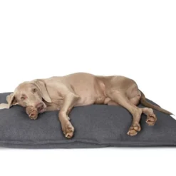 Scruffs Noodle Dry Mat - 90 X 60 Cm - Rood