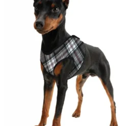 Cooling Comfy Harnass Red Western -Goedkope Fluffy Poot Winkel file 31