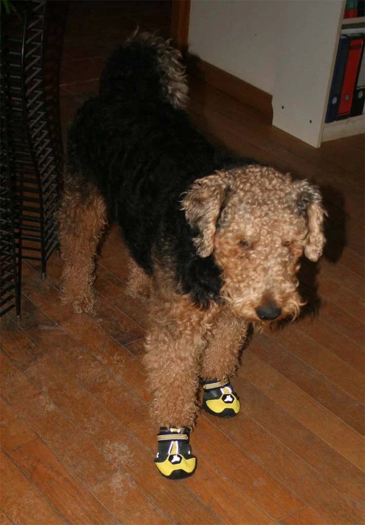 Hondenschoen 4Seasons Geel 3 Hondenschoen 4Seasons Geel - Afbeelding 3