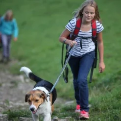 Hondenschoen 4Seasons Grijs 5 Hondenschoen 4Seasons Grijs -Goedkope Fluffy Poot Winkel file 353