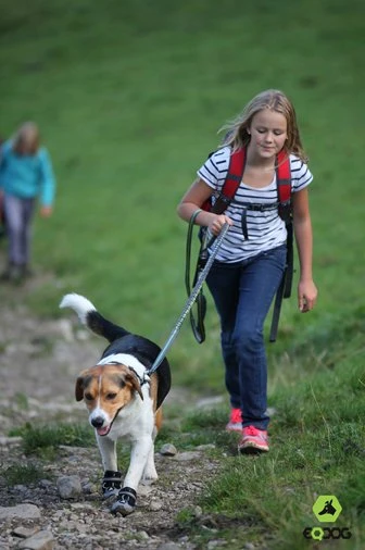 Hondenschoen 4Seasons Grijs 3 Hondenschoen 4Seasons Grijs - Afbeelding 3