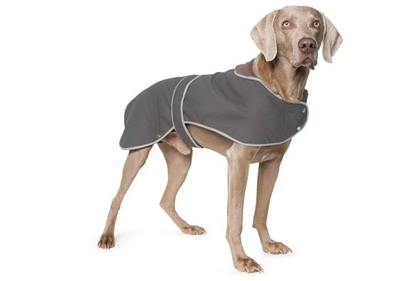 Honden Waxjas 2 Honden Waxjas - Afbeelding 2