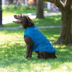 Kurgo Hondenjas Jacket Loft Blauw / Oranje