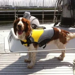 Hondenzwemvest Pro Life 5 Hondenzwemvest Pro Life -Goedkope Fluffy Poot Winkel file 378