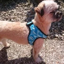 Cooling Comfy Harnass Cool Blue 5 Cooling Comfy Harnass Cool Blue -Goedkope Fluffy Poot Winkel file 46