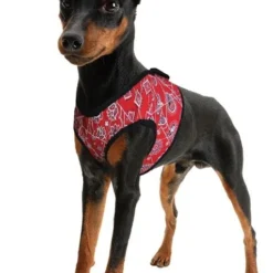 Cooling Comfy Harnass Red Western -Goedkope Fluffy Poot Winkel file 52