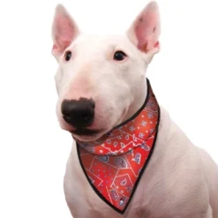 Cooling Pet Bandana Red Western -Goedkope Fluffy Poot Winkel file 57