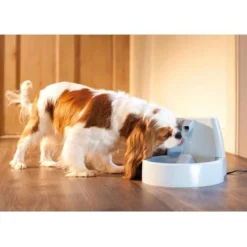 PetSafe Drinkwell Drinkfontein - 1.5 L -Goedkope Fluffy Poot Winkel file 82