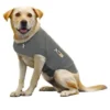 Thundershirt Hond Maat XXS
