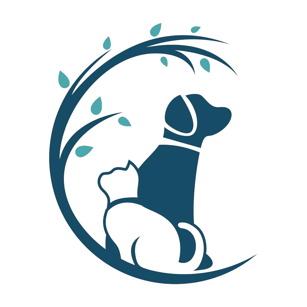 Goedkope Fluffy Poot Winkel